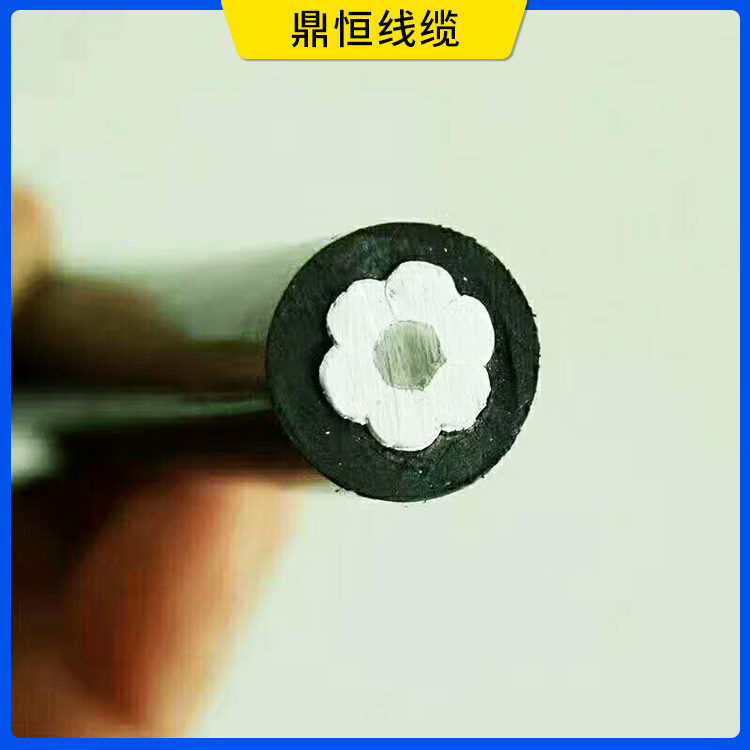 架空绝缘导线 (12).jpg