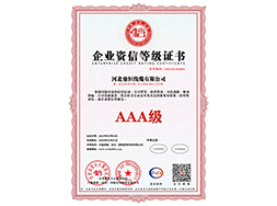 企业资信等级证书