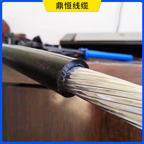 10kv架空绝缘导线